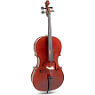 Виолончель GEWA Pure Cello Outfit EW 4/4 - 1