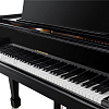 Акустический рояль Н. Рубинштейн НР-275 - 6