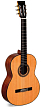 Классическая гитара Sigma CM-6 - 1