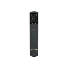 Микрофон Sennheiser MKH 800 TWIN NX