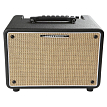 Комбоусилитель Ibanez T30II - 1