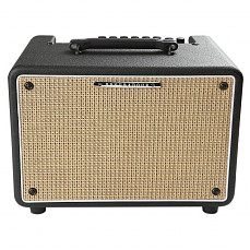 Комбоусилитель Ibanez T30II