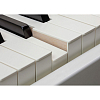 Цифровой рояль Roland GP-6 PW - 8