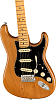 Электрогитара Fender American PRO II Stratocaster MN Roasted Pine - 4