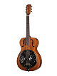 Акустическая гитара Caraya SDG722 - 1