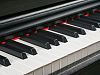 Цифровое пианино MUZPLANET YDP-145R - 7