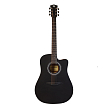 Акустическая гитара Rockdale Aurora D3 C Bk Satin - 1