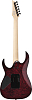 Электрогитара Ibanez RG470DXW-WZM - 3