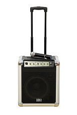Акустический комплект Soundking PA10W