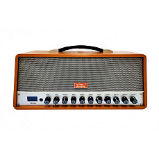 Комбоусилитель Soundking TG10D