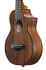 Акустическая гитара Ibanez EWP12EWB-OPN, Натуральный открытые поры - 4