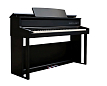 Цифровое пианино MUZPLANET YDP-165B - 1