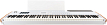 MIDI-клавиатура Arturia KeyLAB 88 MK3 White - 1