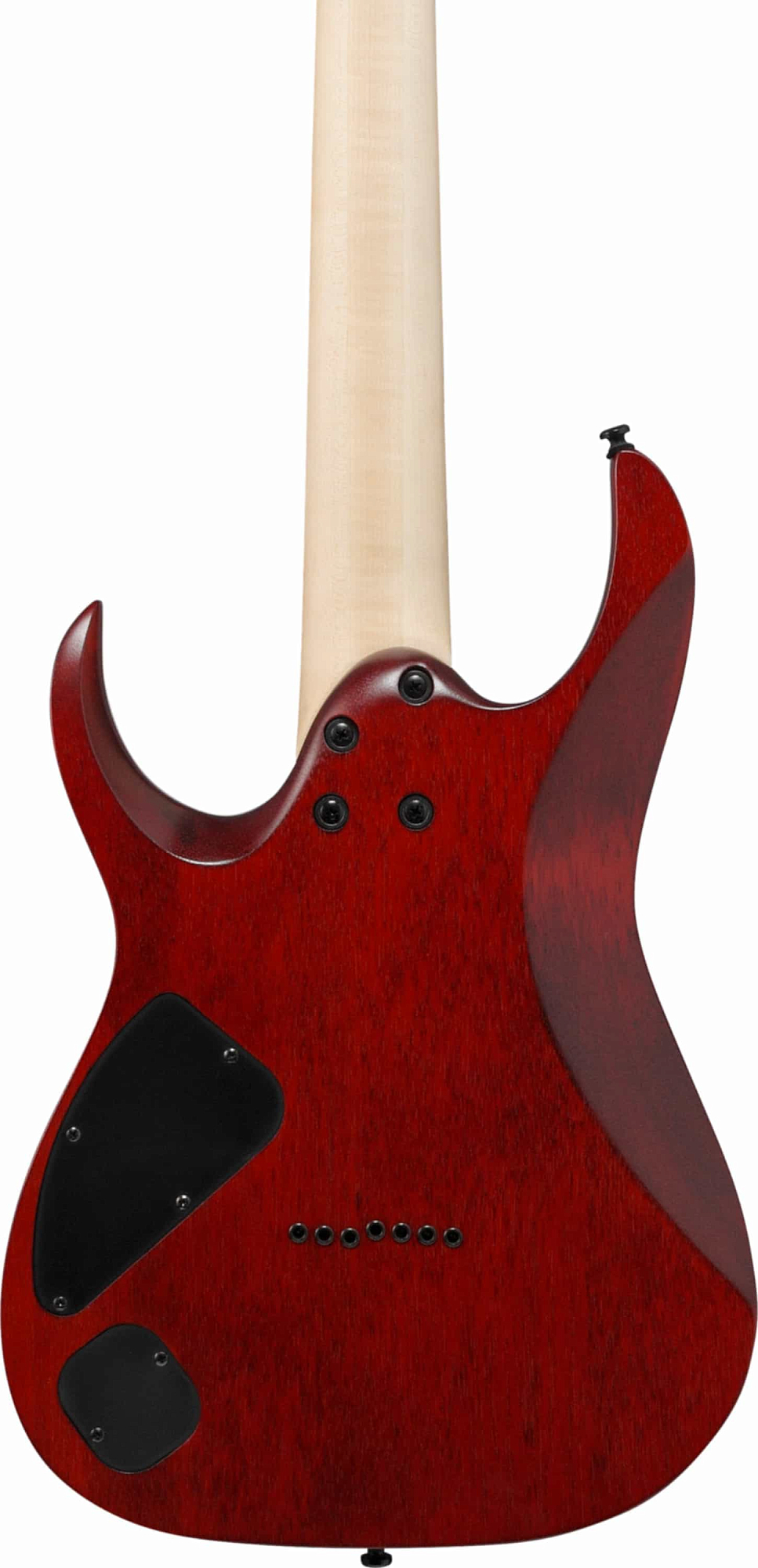 Электрогитара Ibanez RGA742FM-TGF - 16