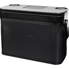 Переносная караоке-система iconBIT K902B