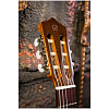 Классическая гитара Perez 610 Cedar - 4
