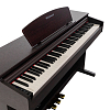 Цифровое пианино Rockdale Etude 128 Graded Rosewood - 7