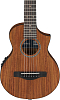 Акустическая гитара Ibanez EWP12EWB-OPN, Натуральный открытые поры - 3