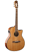 Электроакустическая гитара Prodipe JMFSGA200CEQ - 1