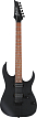 Электрогитара Ibanez RGRT421-WK - 1