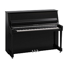 Акустическое пианино Yamaha B20 PEC