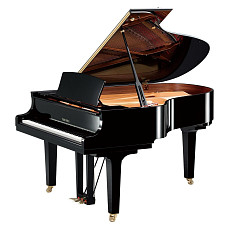 Акустический рояль Yamaha C3X PE