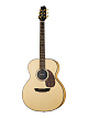 Акустическая гитара Alhambra 1.122 AJ-SM E9 - 1