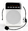 Переносной громкоговоритель для гида LAudio WS-VA030 - 1