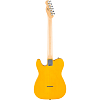 Электрогитара Fender Standard Telecaster Butterscotch Blonde, Блонд Butterscotch - 2