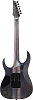 Электрогитара Ibanez RGT1270PB-DTF - 3