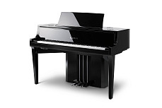 Гибридный цифровой рояль Kawai NV10S EP
