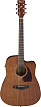 Акустическая гитара Ibanez PF12MHCE OPN EL GUITAR, Opn El Guitar - 1