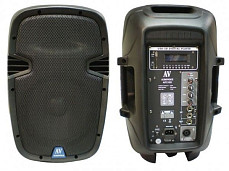 AudioVoice AP210D