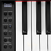 Цифровое пианино MUZPLANET YDP-145R - 9