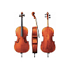 Виолончель GEWA Cello Maestro 24 4/4 - 5