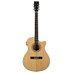 Электроакустическая гитара Prodipe JMFSA150CEQ - 1