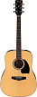 Акустическая гитара Ibanez Pf15-Nt - 1