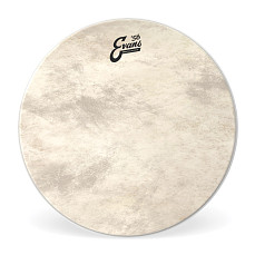 BD26GB4CT EQ4 Calftone Пластик для бас-барабана 26, Evans