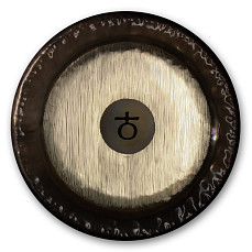 0223381630 PG81630 Planet Gong F2 Platonic Year Гонг 30, Paiste