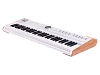 Сценическая клавиатура Arturia Astrolab White - 4