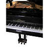 Акустический рояль Михаил Глинка T-183 черный, полированный - 6