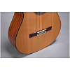 Классическая гитара Altamira N500+ - 14