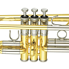 Труба Yamaha YTR-8445WS - 5