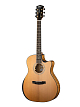 Электроакустическая гитара Cort Gold-Edge-WCASE-NAT - 1