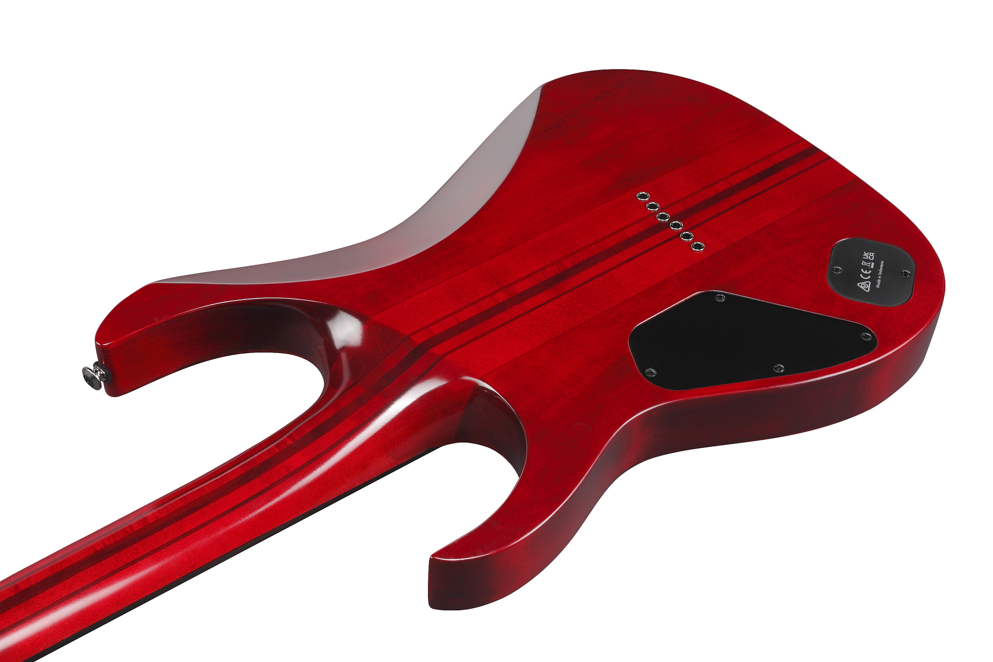 Электрогитара Ibanez RGT1221PB-SWL - 9
