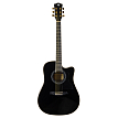 Акустическая гитара Rockdale Aurora D7 C Bk Gloss - 1