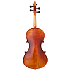Скрипка GEWA Violin Maestro 6 Antique 3/4 - 2