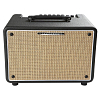 Комбоусилитель Ibanez T30II - 2