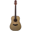 Акустическая гитара Crafter HD-100/OP.N - 1