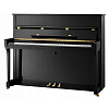 Акустическое пианино Михаил Глинка Композитор, черное, полированное - 2
